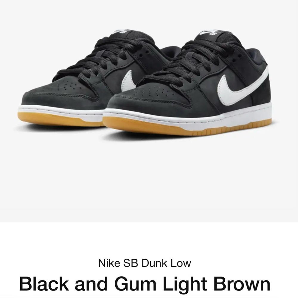 Nike SB Pro AA Dunks